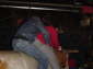 DSC00147